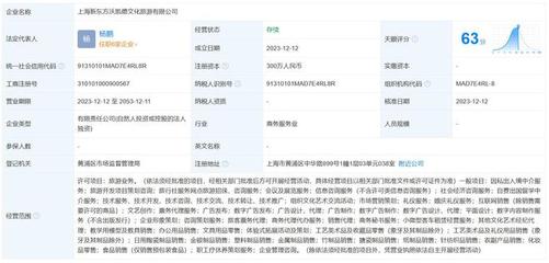 新東方文旅在上海成立新公司，擴展信息咨詢服務版圖